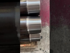 Pin Sendi Anak Anjing x Pin